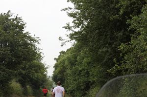 IMG_3019.JPG